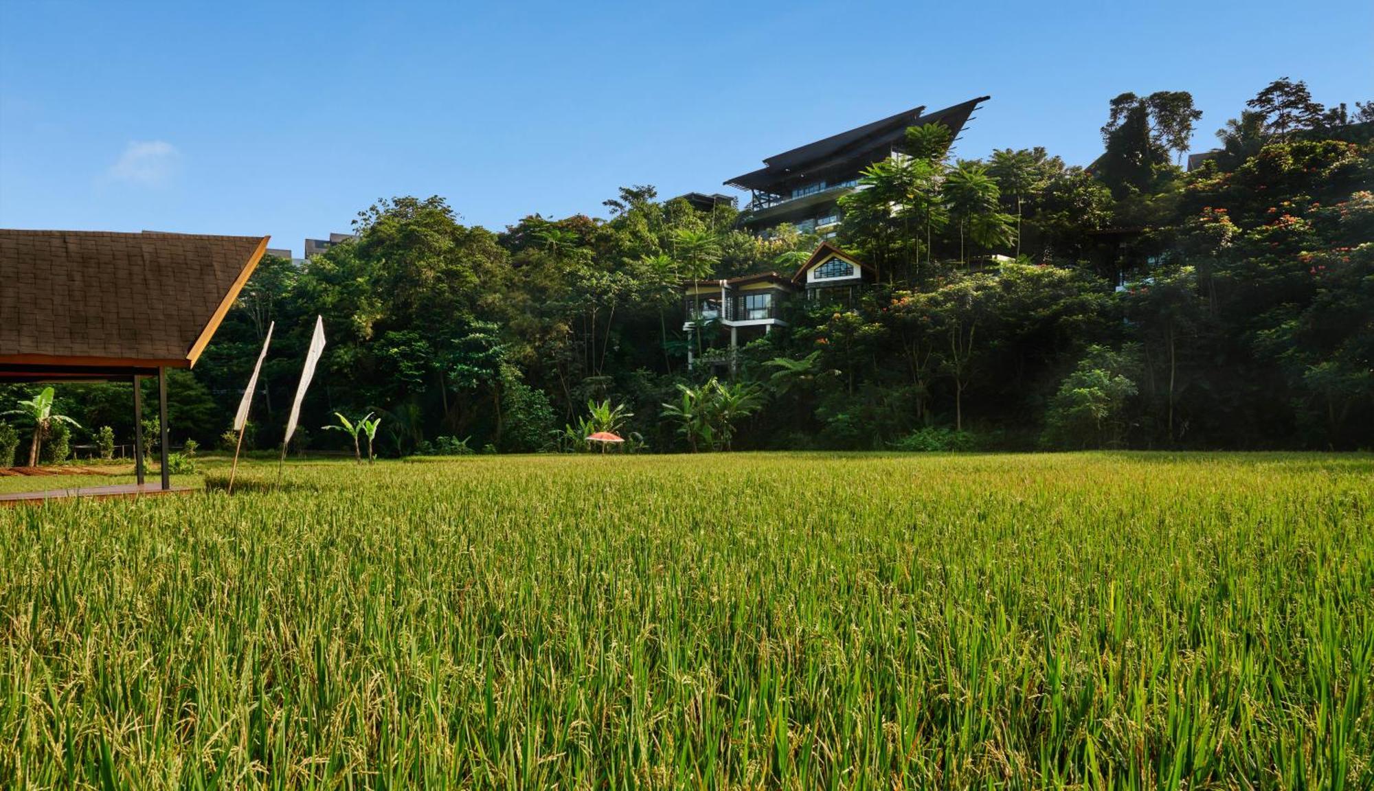 Pullman Ciawi Vimala Hills Resort Bogor Exterior foto